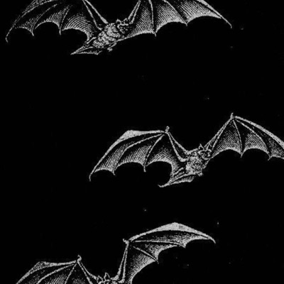 Thc Music Rock - Higher Than The Sky