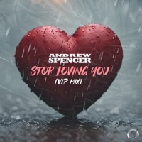 Stop Loving You (Vip Extended Mix)