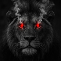 Heart of a lion - Single - Bobby Jr