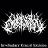 Aborted Contorted and Aborted Involuntary Cranial Excision (Split) - Single