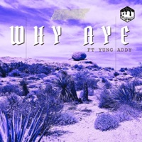 Why Aye (feat. Yung Addy) - Single - Madlogic