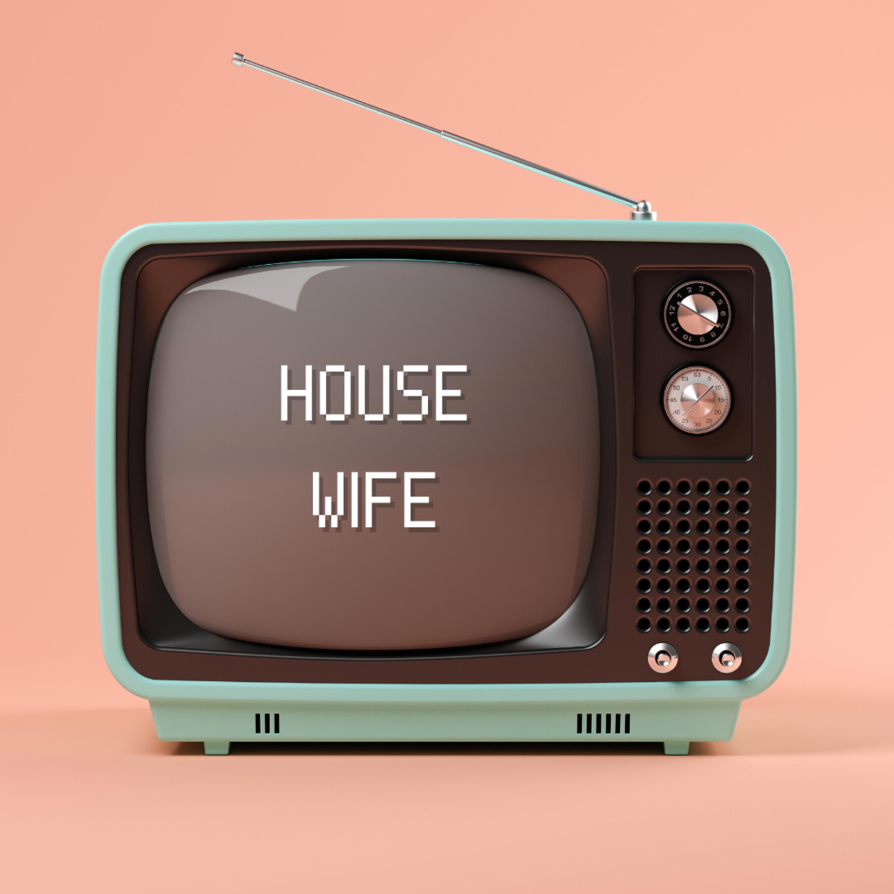 House Wife - Single