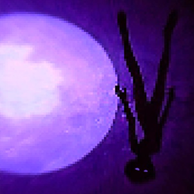 Fly Alone - Single