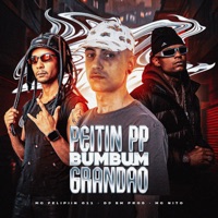 PEITIN PP BUMBUM GRANDÃO - Single - DJ BM PROD, MC Felipiin 011 & MC Nito