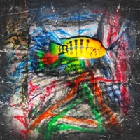 AQUARIUM - Single - Archi Silas