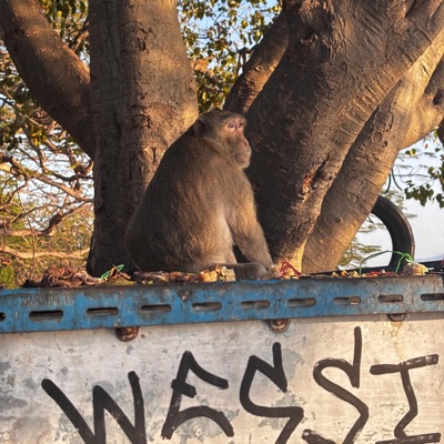 มันจะมีไหมใครสักคนนั้น (feat. NKOHM, Chawizki, Nick8P & BlueTears) - Single