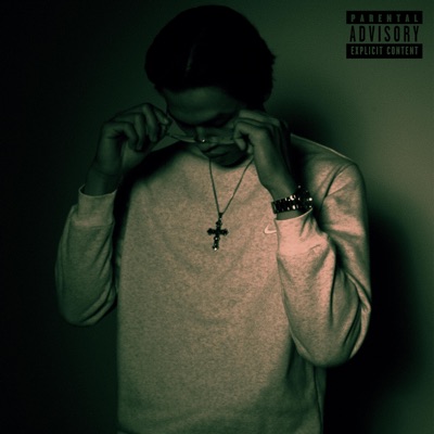 Ý CHÍ (feat. SPYKE) - Single