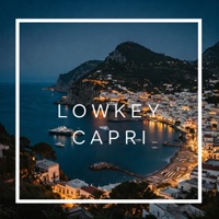 Lowkey Capri - Single - Kiralee & danxkim