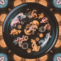 Protomartyr // THE REMIXES - EP - Post Coal Prom Queen