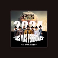 Los Perrotes del Regiosax