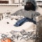 Took - Siamesee lyrics