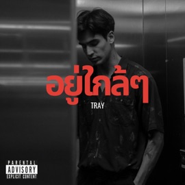 อยู่ใกล้ๆ TRAY