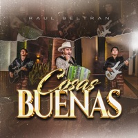 Cosas Buenas - Single - Raúl Beltran