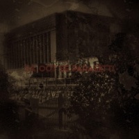 Sä oot se parasiitti - Single - Toni Pandora