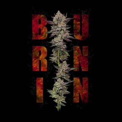 Burnin (feat. Shelly Shevz) - Single