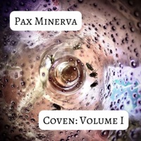 Album cover for Wisp by Pax Minerva