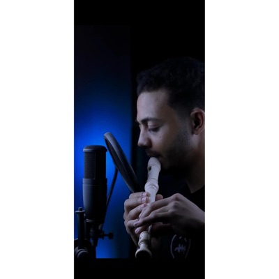 Baby Stop (Recorder Beatbox)