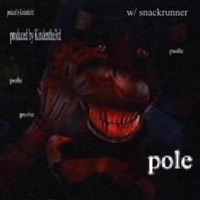 pole (feat. snackrunner) - Single - Aidyn
