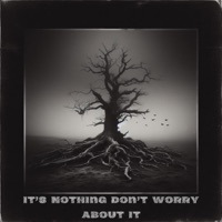 It's Nothing Don't Worry About It - Single - 4yres