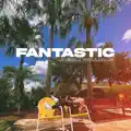 fantastic