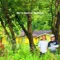 토종꿀벌 - Sun Gin & Tomarl lyrics
