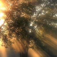 yes but not yet - Single - promise