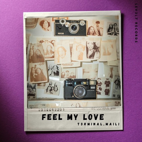 Feel My Love - Single