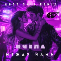 Между нами (Andy Shik Remix) - Single - Пчела
