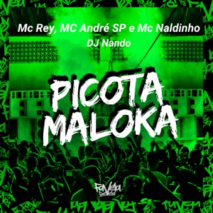 Picota Maloka (feat. Mc Naldinho)