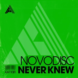 Never Knew - Single
