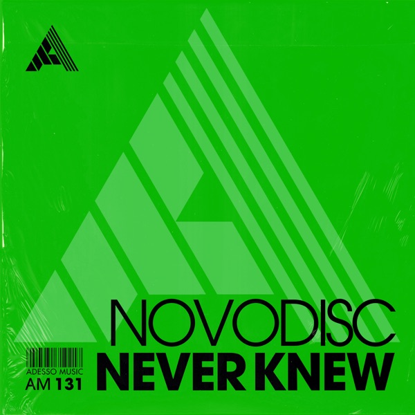 Never Knew - Single