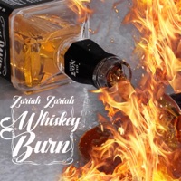 Whiskey Burn - Single - Zariah Zariah