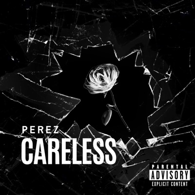 CareLESS - Single