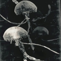 SOUR N' SWEET - Single - evilmiku