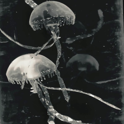 SOUR N' SWEET - Single