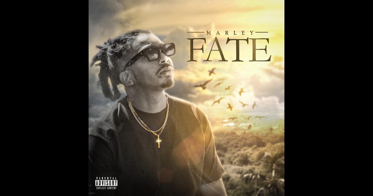 Fate - MarleyMusicc