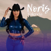 El Avispao - Single - Noris Valencia