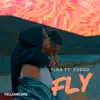 Fly
