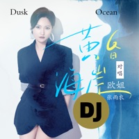 黄昏海岸 (DJ版) - Single - 欧姐 & 张雨农