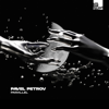 Parallel - Pavel Petrov