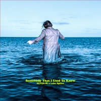Somebody That I Used To Know - Single - SUPER-Hi & Luke Spiller