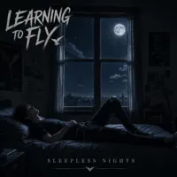 - Learning to Fly — Learning to Fly