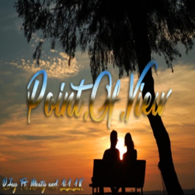 Point Of View (feat. LK & Meaty) - Single