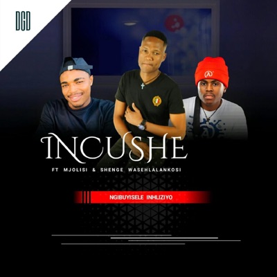 Ngibuyisele Inhliziyo (feat. Mjolisi & Shenge Wasehlalankosi) - Single