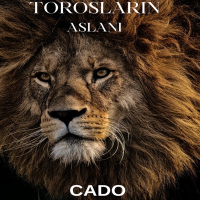 Torosların Aslanı - Single