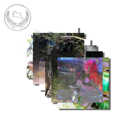 Master of Ceremonies