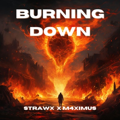 Burning Down - Single
