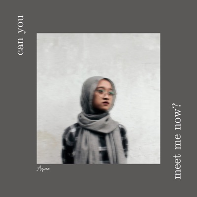 Can You Meet Me Now - EP