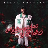 Madrugada y Flor - Single - Aaron Emanuel