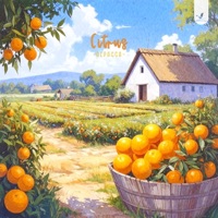 Citrus - Single - Alpacca